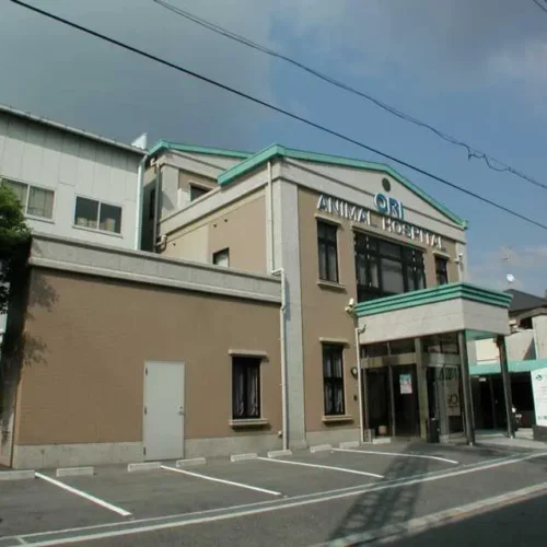 おり動物病院