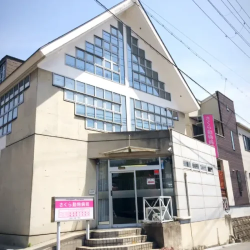 さくら動物病院